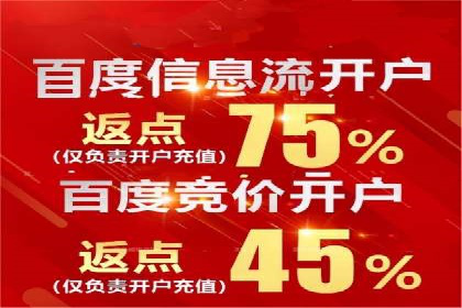 SEM托管公司案例分析：数据驱动决策